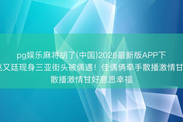 pg娱乐麻将胡了(中国)2026最新版APP下载 高圆圆赵又廷现身三亚街头被偶遇！佳偶俩牵手散播激情甘好意思幸福