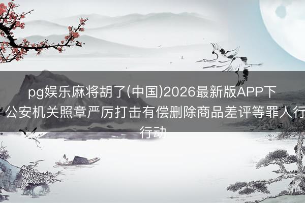 pg娱乐麻将胡了(中国)2026最新版APP下载 公安机关照章严厉打击有偿删除商品差评等罪人行动