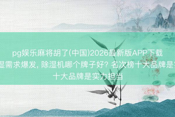 pg娱乐麻将胡了(中国)2026最新版APP下载 室内除湿需求爆发， 除湿机哪个牌子好? 名次榜十大品牌是实力担当
