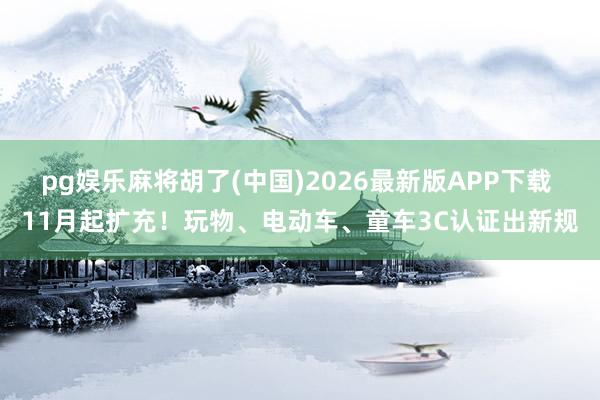 pg娱乐麻将胡了(中国)2026最新版APP下载 11月起扩充！玩物、电动车、童车3C认证出新规