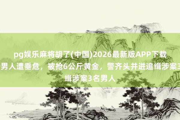 pg娱乐麻将胡了(中国)2026最新版APP下载 香港一男人遭垂危，被抢6公斤黄金，警齐头并进追缉涉案3名男人